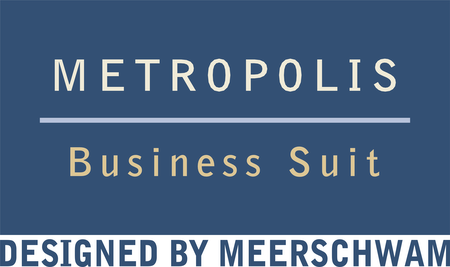 Metropolis Business Suit