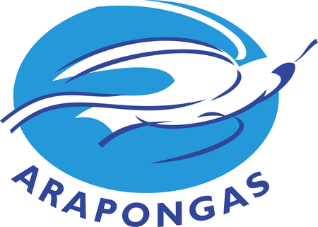 Associacao Atletica Arapongas de Arapongas PR