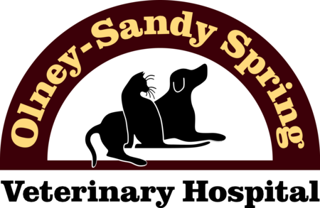 Olney Sandy Spring Veterinary Hospital