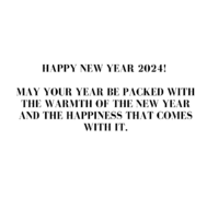 New Year 2024 Warmth