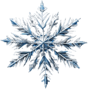 Dynamic Snowflake