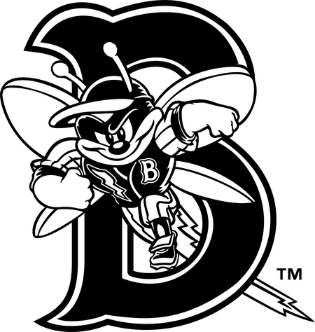 Binghamton Mets 58216