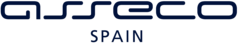Asseco Spain
