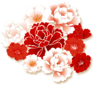 Chinese New Year Lotus