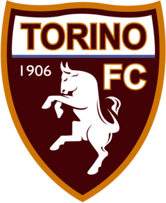 Torino calcio