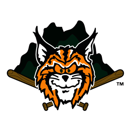 Lynchburg Hillcats