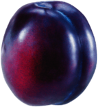 Isolated Plum