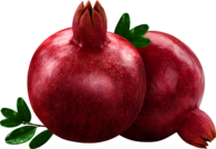 Duo Pomegranate