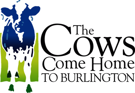 The Cows Come Home to Burlington