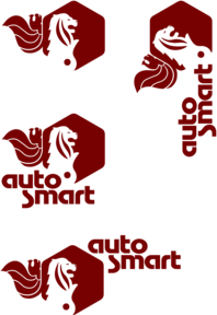 Auto Smart