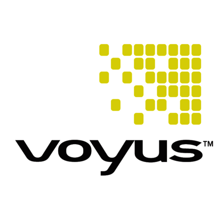 Voyus
