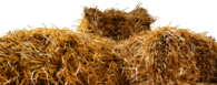 Top Of Straw Bales