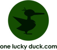 One Lucky Duck