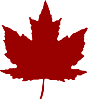 Maple Leaf Clipart