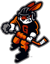 Greenville Swamp Rabbits Player 