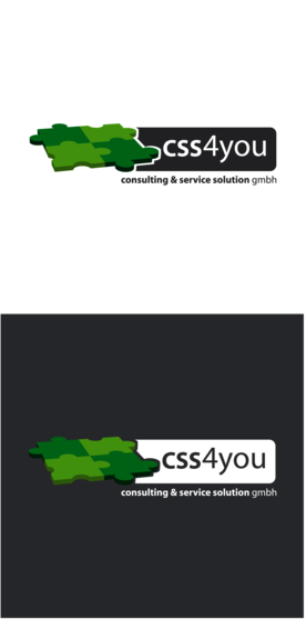 CSS consulting & service solution