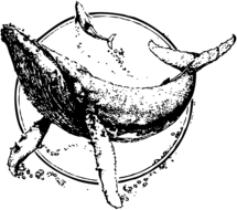 Sea Shepherd Conservation Society