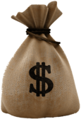 Bag Dollar Money