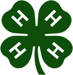4-h Club