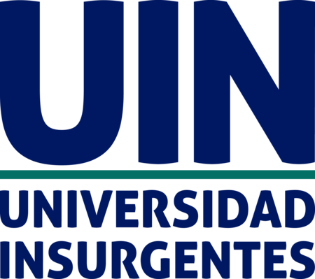Universidad Insurgentes (UIN)