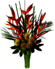 Heliconia Composition