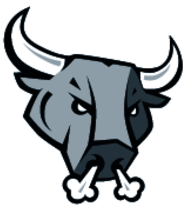 San Antonio Rampage Bull's Head