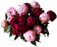 Bouquet Of Peonies