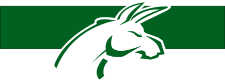 Burros Pardos Tecnológico de Saltillo