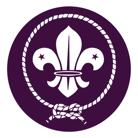 World scout movement