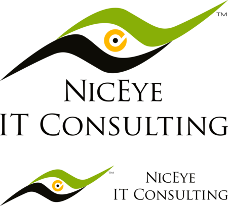 Niceye IT Consulting
