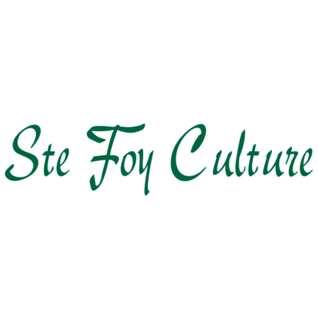 Ste Foy Culture