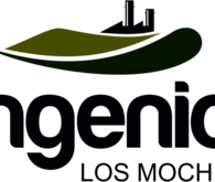 Ingenio