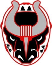 Birmingham Bulls 