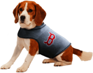 Boston Red Sox Dog Shirt