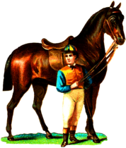 Race Horse and Jockey Vintage Clipart