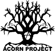 Acorn Project