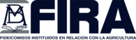 FIRA