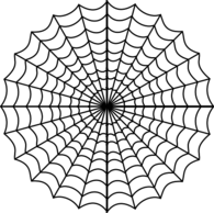 Very Large Symmetrical Spider Web