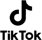 TikTok Logo Black