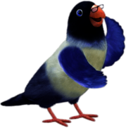 3rd&Bird Mr.Lovebird