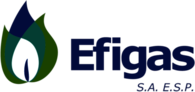 Efigas S.A. E.S.P.
