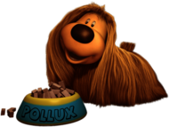 Pollux (Dougal) With Bowl Of Dog Food