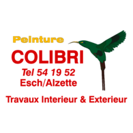 Peinutre Colibri
