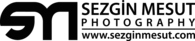 Sezgin Mesut