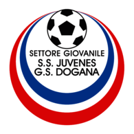Juvenes Dogana
