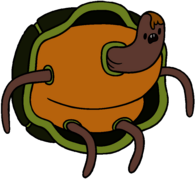 Adventure Time Turtle People