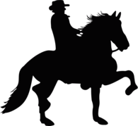 Caballo Costarricense de Paso