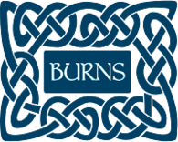 Burns 