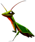 Praying Mantis, Children'S Cartoon Animation Style -  Full Body, Single View, No Shadow