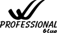 Professional Blue